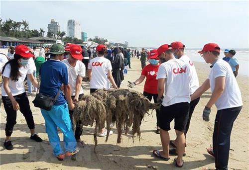 Gần 1.000 người tình nguyện thu gom rác thải tại bãi biển Vũng Tàu