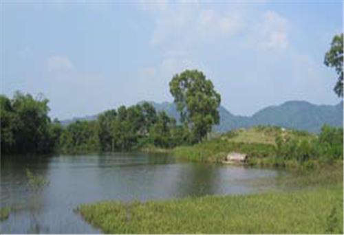 Hồ Vai Miếu