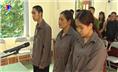 Tòa án nhân dân thành phố Thái Nguyên: Xét xử lưu động 3 vụ án hình sự